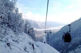 سائق في قبالا