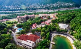 سائق في شيكي